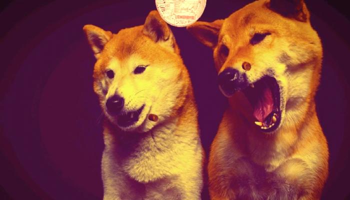 Dogecoin ve Bu 8 Altcoin İçin Dev İddia: Önümüzdeki 12 Ayda…