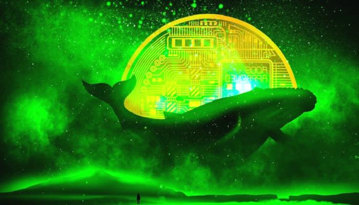 Duyuru Yapıldı: Akıllı Para, Bu Altcoin Varlıklarını Çekiyor!