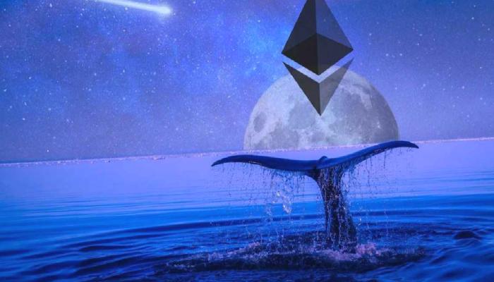 Ethereum Satan Balinalar, Bu Altcoinleri Alıyor!