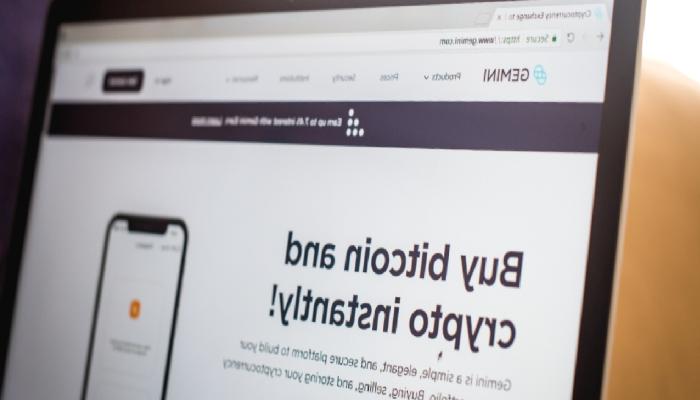 Gemini, Earn Protokolü için Süreksiz Komite Kuracak