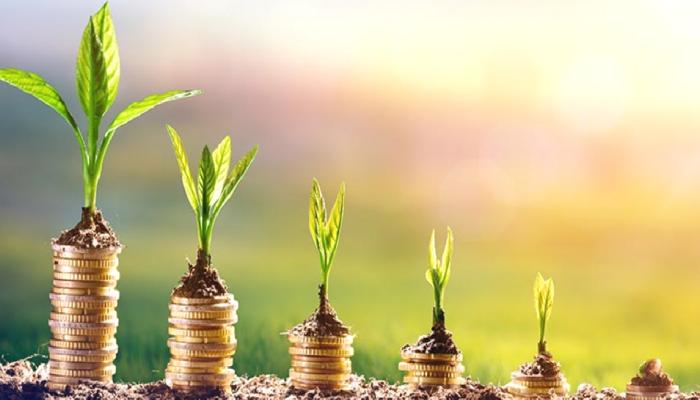 Kripto Teşebbüsü Outdefine, 2.5 Milyon Dolar Topladı