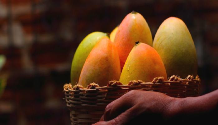 Mango Markets Saldırganı Tutuklandı
