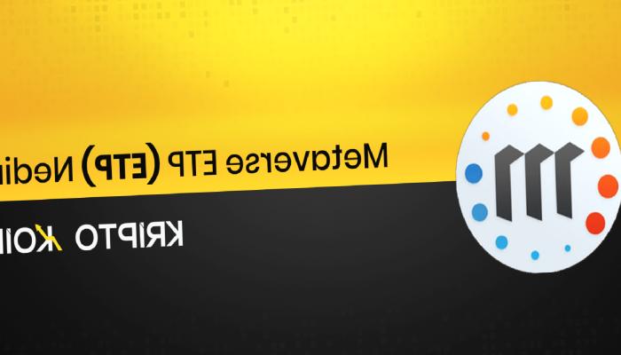 Metaverse ETP Nedir? ETP Ne İşe Yarar?