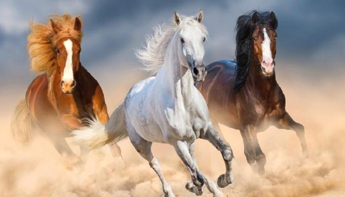 Milyonluk Aboneli Analist: Sıradaki En Süratli Atlar Bu 3 Altcoin!