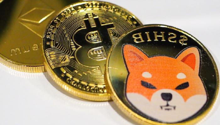 Ne SHIB ne BTC: Bu Meme Coin Performansıyla Şaşırttı!