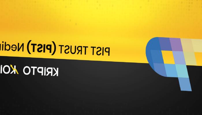 PIST TRUST Nedir? PIST Coin Ne İşe Yarar?
