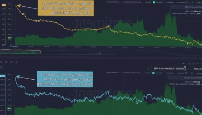 Şaşıracaksınız: Balinalar Bu 2 Altcoin’i Kürekle Alıyor