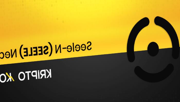 Seele-N Nedir? SEELE Coin Ne İşe Yarar?