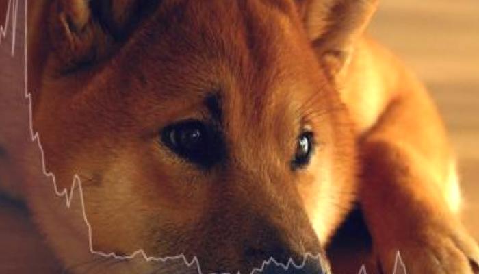 Shiba Inu Hesaplarında Keskin Düşüş! Sebebi Ne?