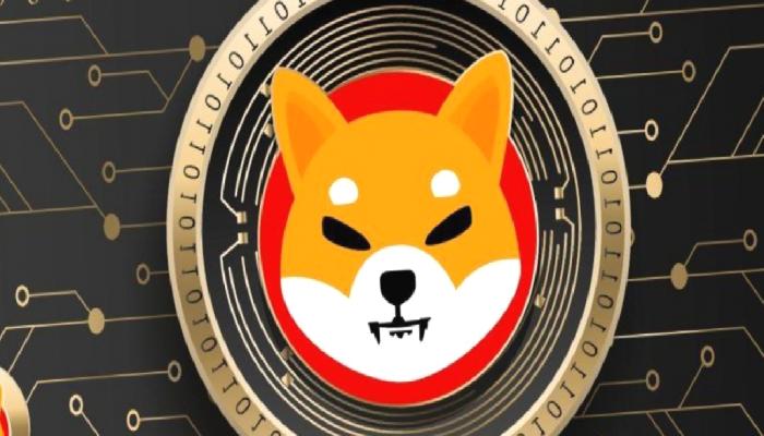 Shiba Inu Mucidi Dev Lansmanı Duyuru: SHIB Sıçradı!