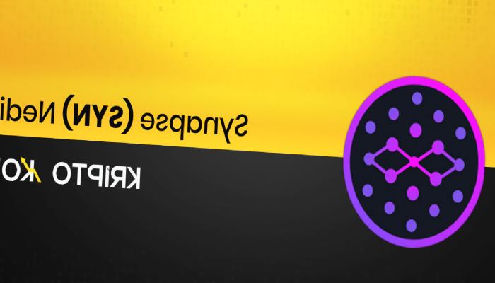 Synapse Nedir? SYN Ne İşe Yarar?