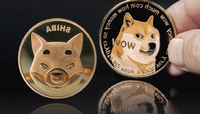 Tanınan Şirketten SHIB ve Dogecoin Müjdesi!
