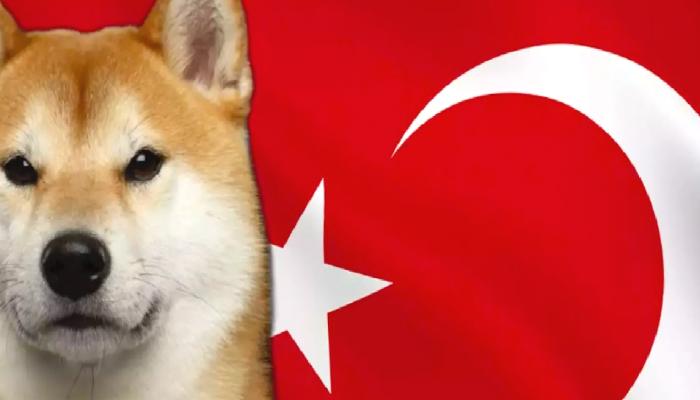 Türklerden Dogecoin’e Ağır İlgi
