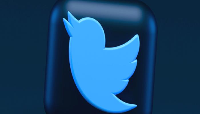 Twitter Dogecoin Değil: Bu 2 Kripto Parayı Ekledi!