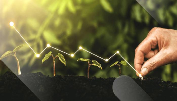 Ünlü CEO ‘Bu 2 Altcoin Yatırımlık’ Dedi: Fiyatlar Fırladı!
