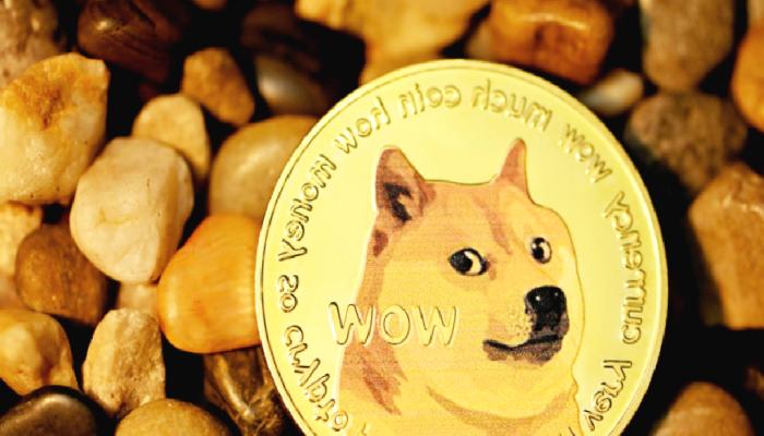 Ünlü CEO: DOGE Değil! Artık Bu Altcoin’in Vakti