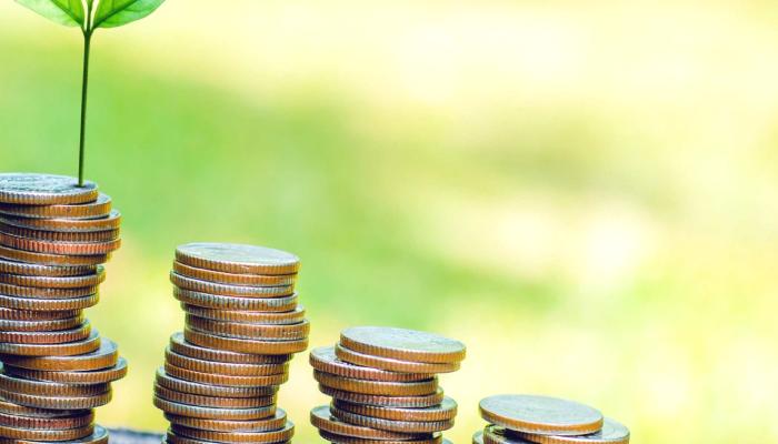 Uzman: Sıradaki Büyük Şey Bu Altcoin Piyasalarında Gizli!