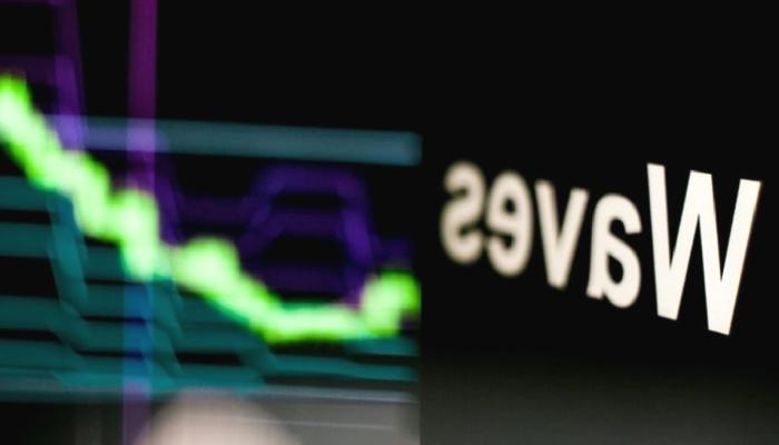 Waves Kurucusu, Borsalara Davette Bulundu