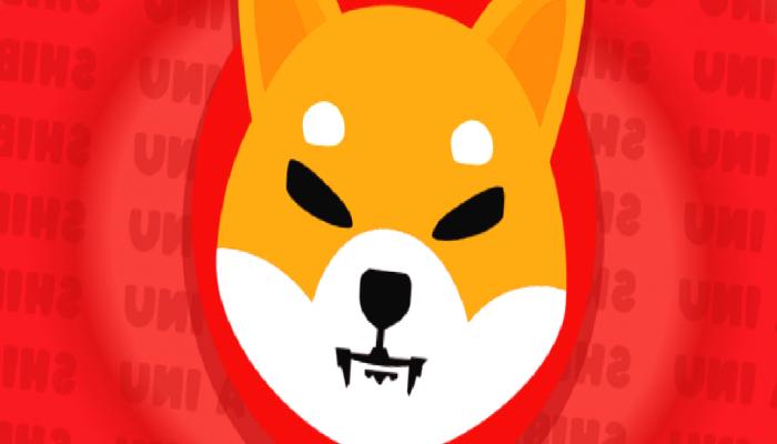 ABD’li Siyasetçiden SHIB ve DOGE İçin Bomba Tahmin!