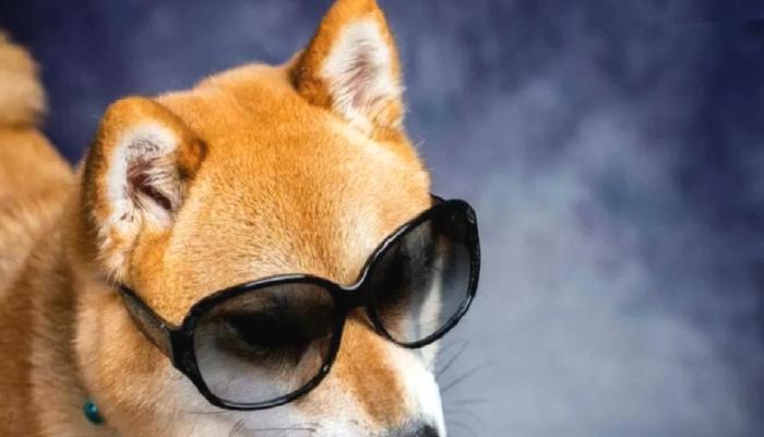 Analist: DOGE ve Bu 5 Coinde Havai Fişeklere Hazırlanın!