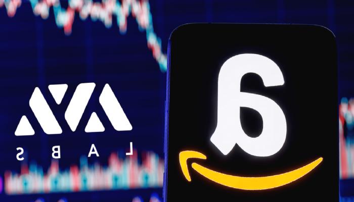 AVAX ve Amazon Paydaşlığı Hakkında Bilmeniz Gerekenler!