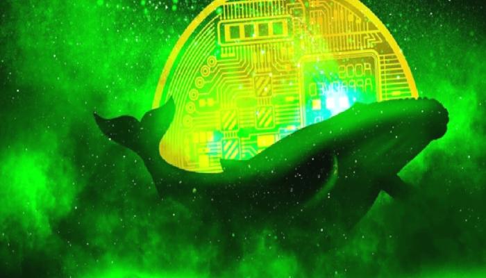 Balinalar Kürekliyor: Bu Metaverse Coin Zıpladı!