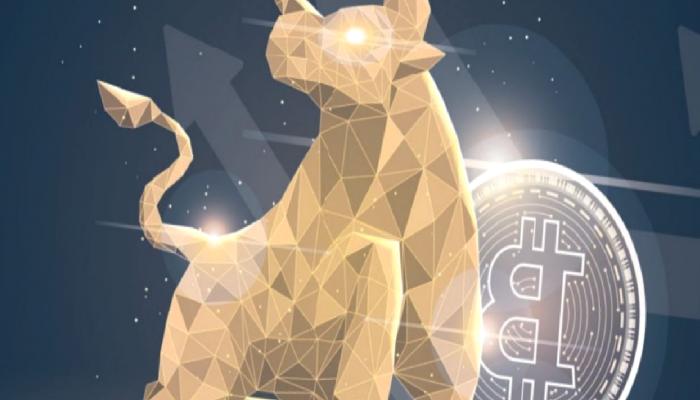 Başarılı Analist: Bitcoin Boğa Koşusu Bu Tarihte Başlıyor!