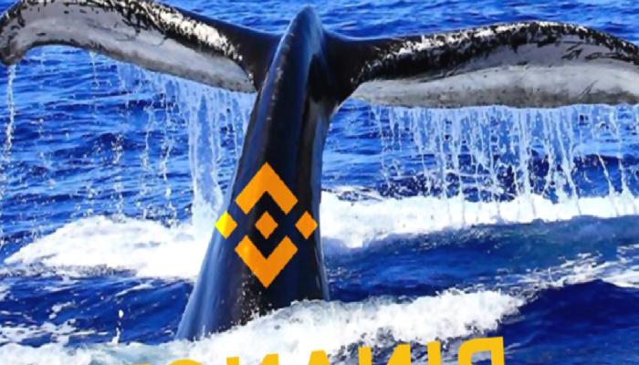 Binance Balinaları, Paralarını Bu 6 Altcoin’e Park Ediyor!