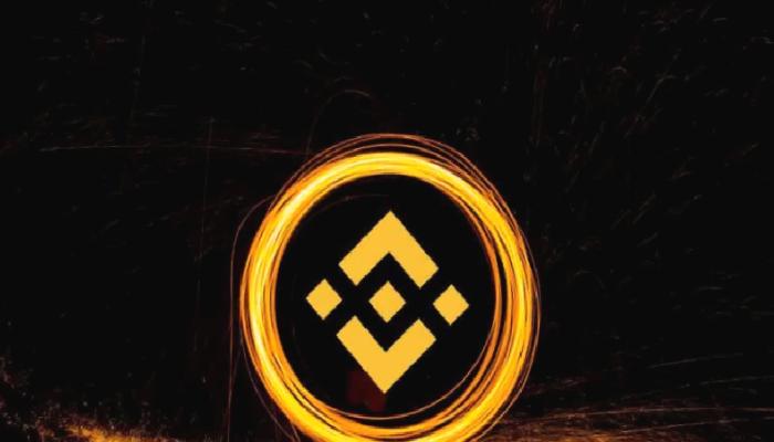Binance’in Bu Kripto Yatırımına Mani: Büyük Ziyan Olabilir!