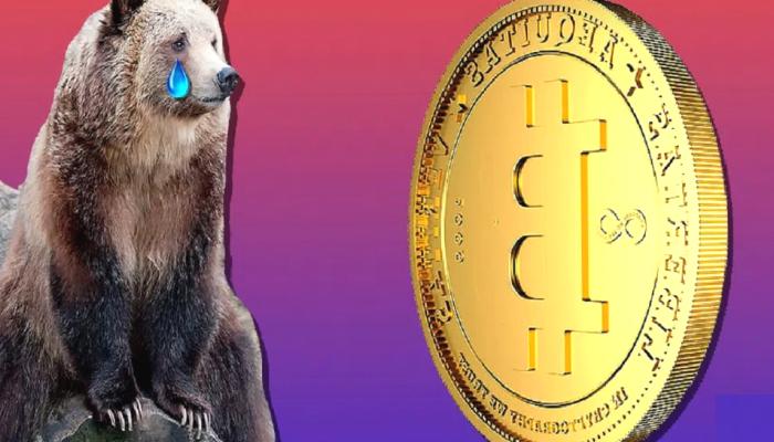Bitcoin Ayı Piyasası Bitti mi? Bu 10 Metrik Belirledi!