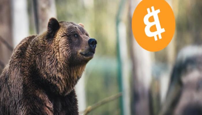 Bitcoin İçin Ayı Piyasası Bitti mi? İşte Kritik Tarihler!