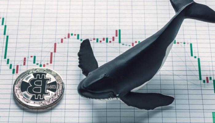Bitcoin Satan Balinalar, Bu 4 Altcoin’den Satın Alıyor!