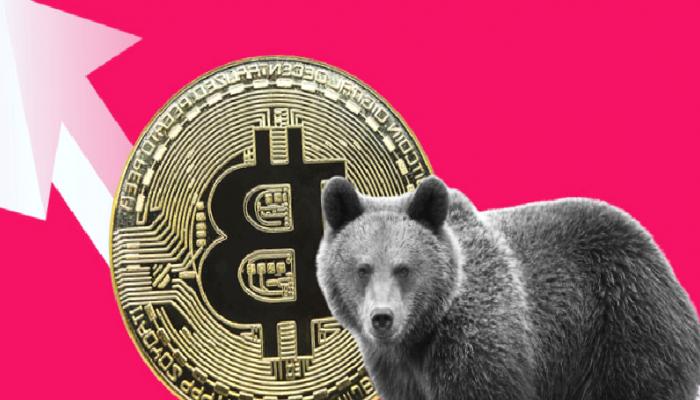 ‘Boğa Tuzağı’ Son Bitcoin Çöküşünü Bilen Analistin Tahmini!