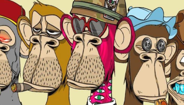 Bored Ape Rapper’a Topluluğun İlgisi Çok Ağır
