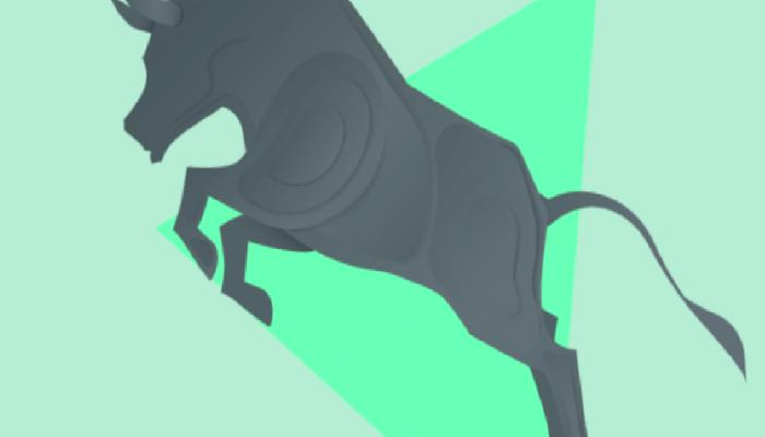 BTC Değil: Büyük Boğa Koşusunu Bu 8 Altcoin Başlatacak!