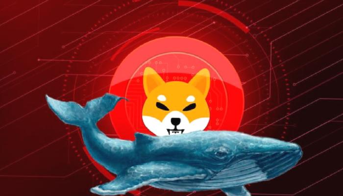 Bu Altcoin SHIB’i Devirdi: Balinalar Ona Koşuyor!