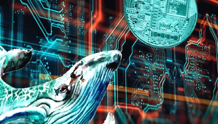 Bu Altcoin’de Kuşkulu Balina Süreci: Milyonlar Taşındı!