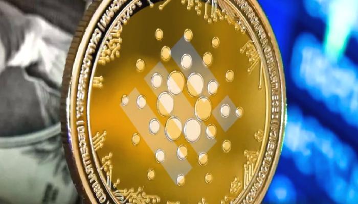 Cardano Kullanıcıları, Ağ Değiştirmeden BUSD Kullanabilecek