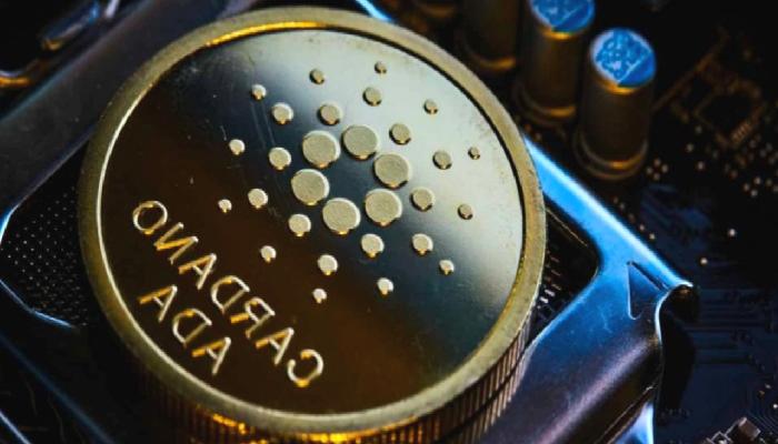 Cardano, Özel İmal Yan Zincirlerle Genişlemeye Hazırlanıyor