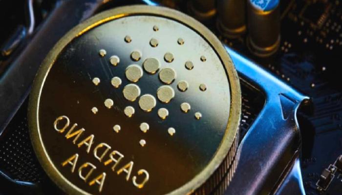 Cardano Stablecoin’i Djed, Çok Teminatlı Geliyor