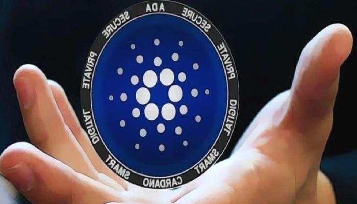 Cardano Toplam Kilitli Varlığı Yüzde 30 Arttı