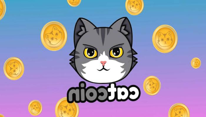 CATCOIN Nedir? CATS Ne İşe Yarar?