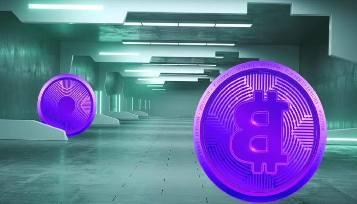 Danışmanlık Devi: Bitcoin Değil, Bu Altcoin Yatırımlık!