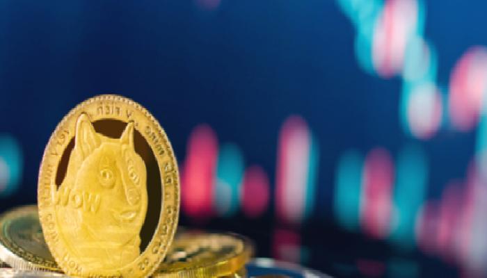 Danışmanlık Devi: Bu Meme Coin Riskli! Uzak Durun