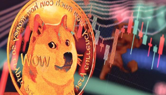Danışmanlık Devi: DOGE Değil! Paranızı Bu 3 Coine Park Edin!