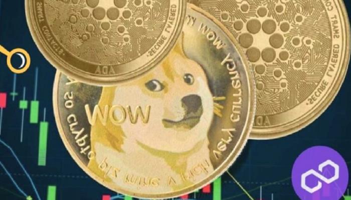 DOGE, ADA, MATIC, BTC ve Bu 6 Altcoin İçin Trade Stratejileri!