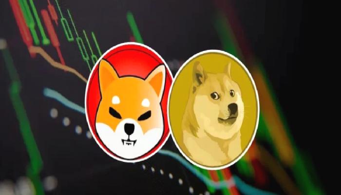 DOGE, SHIB Değil: Bu Meme Coin Haberle Fırladı!