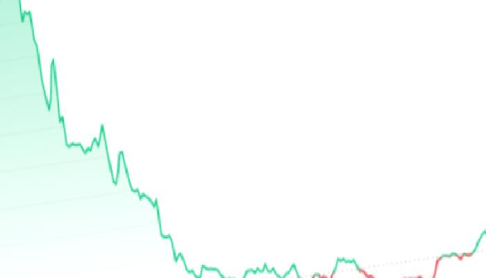 Elon Musk DOGE ve SHIB Muştusunu Verdi: Fiyat Fırladı!