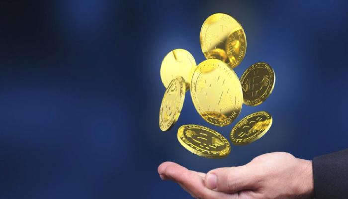 Kıymetli Araştırma: En Çok Kârı Bu Altcoinler Getiriyor!