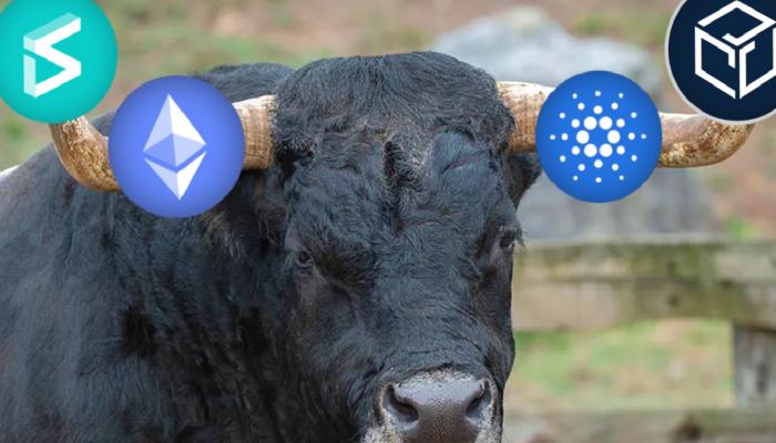 Kripto Paralar Yükseliyor, Altcoin Rallisi Başladı mı?